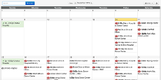 Event Calendar View